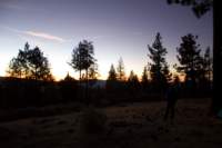 Photo Number 14