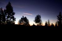 Photo Number 15