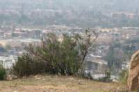 Photo Number 15