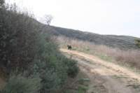 Photo Number 4