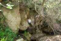 Photo Number 11