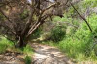 Photo Number 14