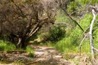 Photo Number 15