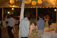 photo375_small.jpg
