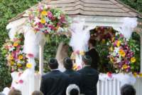 photo127_small.jpg