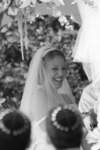 photo131_small.jpg