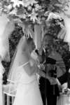 photo154_small.jpg