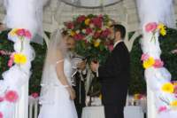 photo161_small.jpg