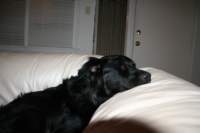 Photo Number 6