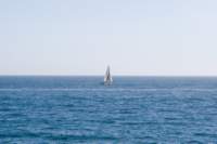 Photo Number 6