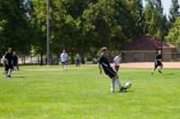 Photo Number 11