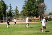 Photo Number 3
