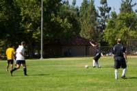 Photo Number 4