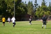 Photo Number 5
