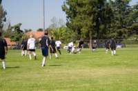 Photo Number 7