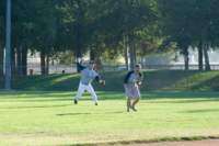 Photo Number 13