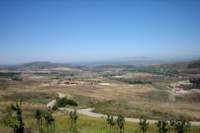 Photo Number 14