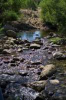 Photo Number 14