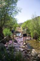 Photo Number 15