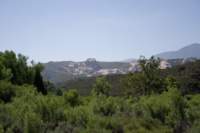 Photo Number 9