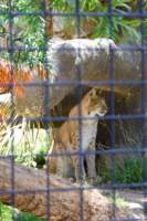 Photo Number 11