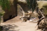 Photo Number 14