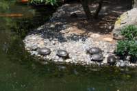 Photo Number 2