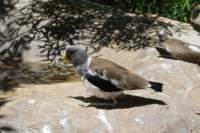 Photo Number 8