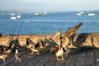 Photo Number 9