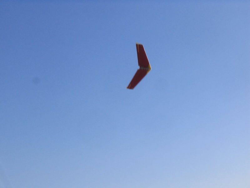 Photograph