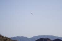photo14_small.jpg