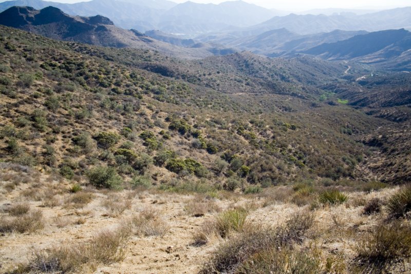 photo11.jpg