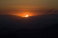 photo14_small.jpg