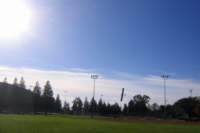 Photo Number 11