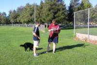 Photo Number 8