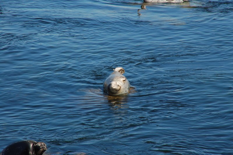 photo9.jpg