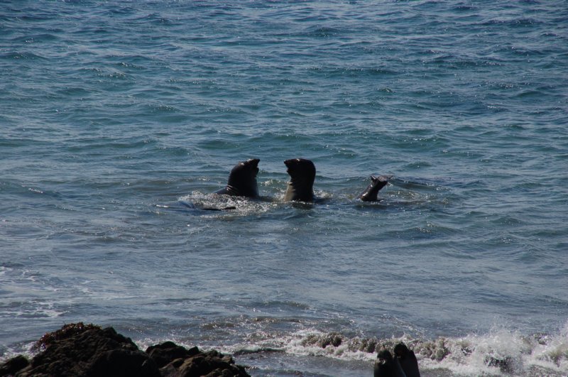 photo27.jpg
