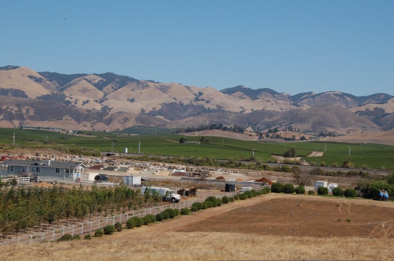 photo1.jpg