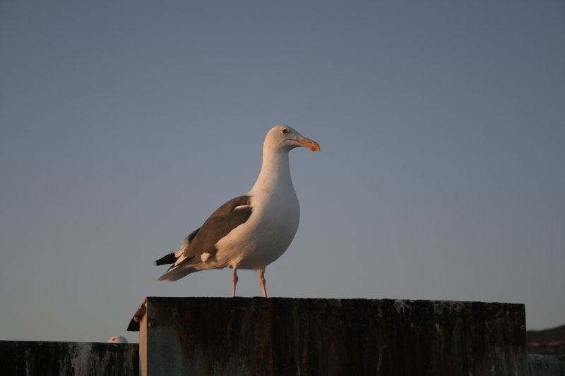 photo14.jpg