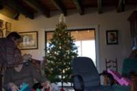 _ashtonchristmastree_small.jpg