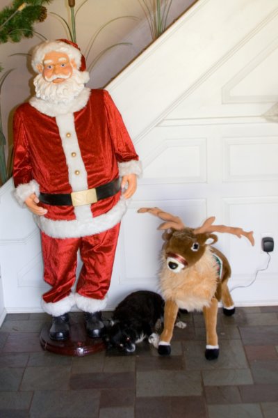 _mutleysantaandrudolph2.jpg