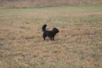 photo107_small.jpg