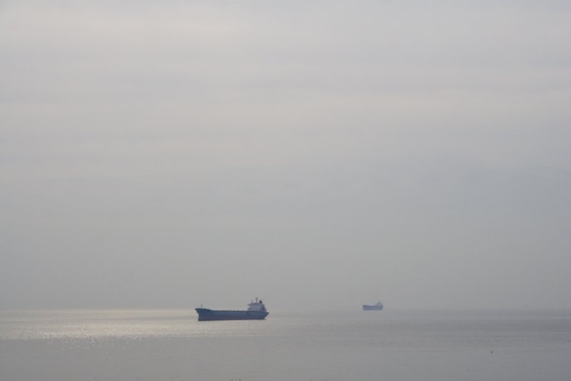 photo44.jpg