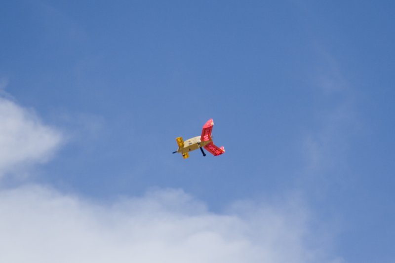 photo29.jpg