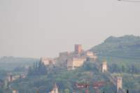 Photo Number 6