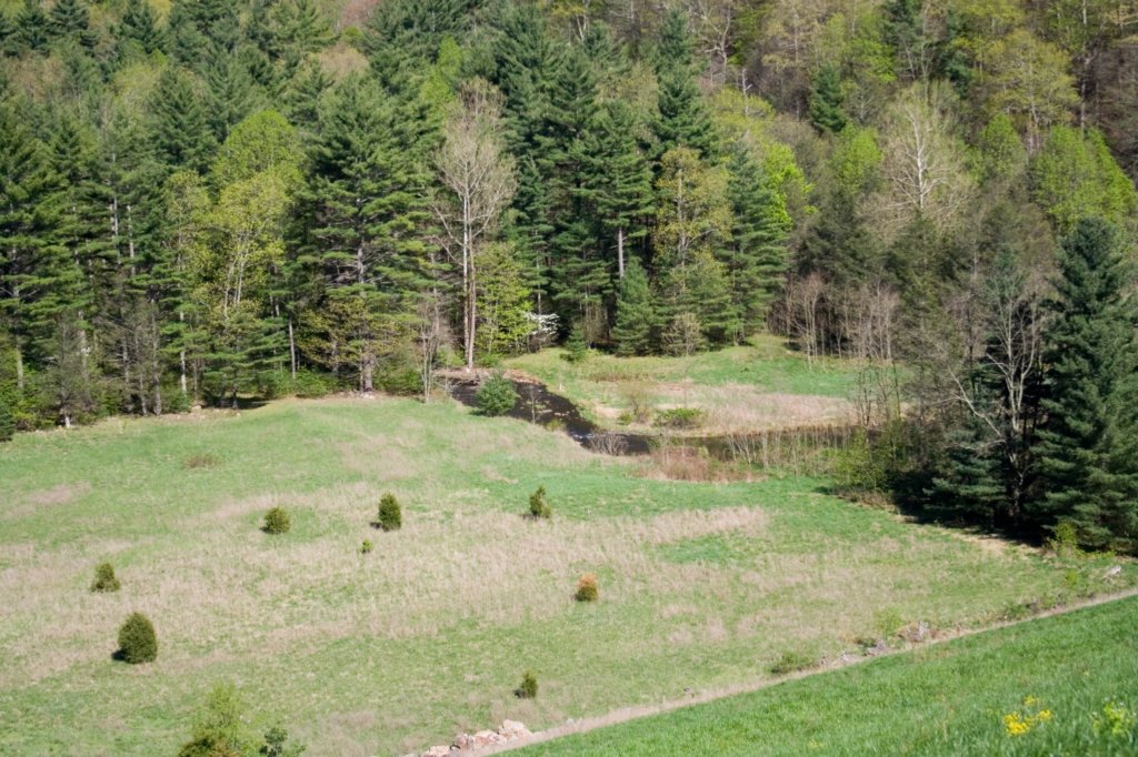 photo25.jpg