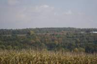 photo37_small.jpg