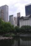 photo34_small.jpg