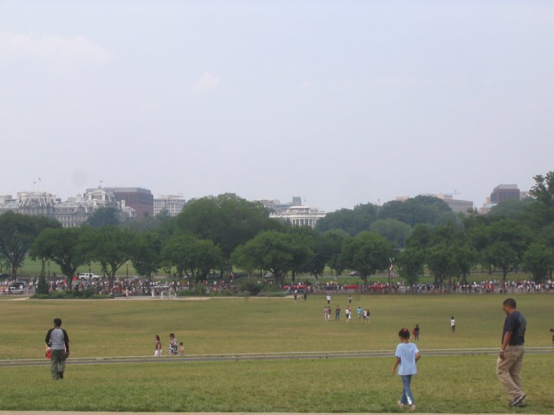 photo41.jpg