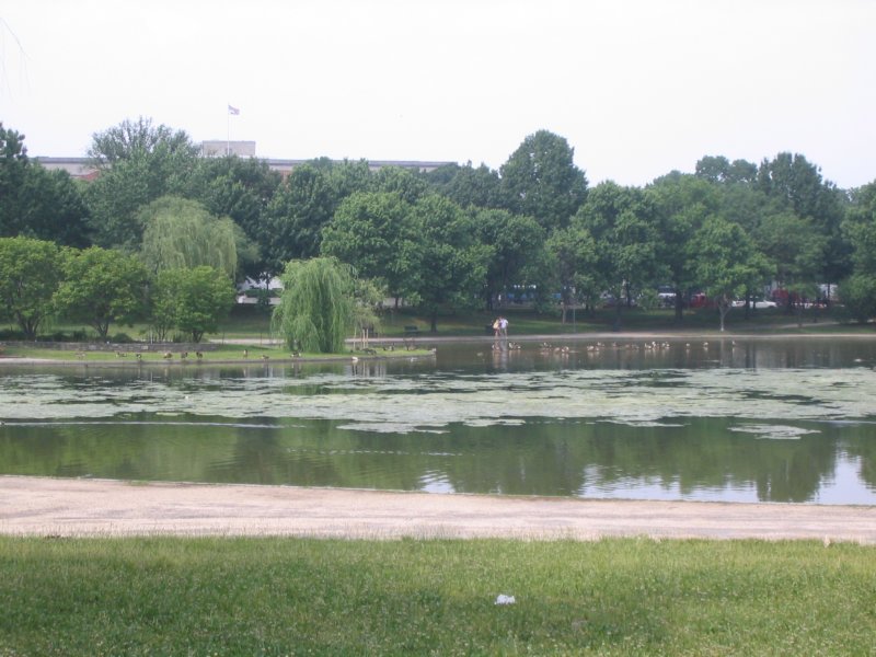 photo51.jpg